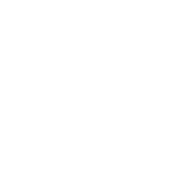 Toggle